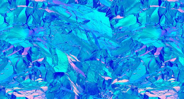 Jersey mit Mustermix Blau/Azur/Rosa Wildlife by Thorsten Berger von Swafing